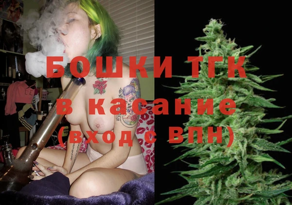 шишки Лагань