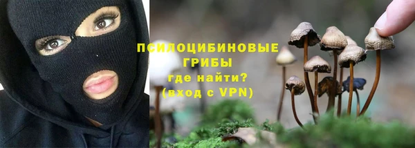 твердый Заводоуковск