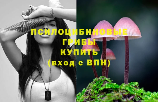 бошки Алзамай