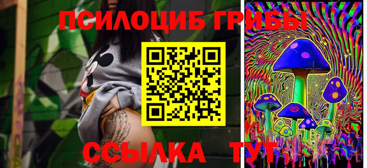 Псилоцибиновые грибы Cubensis Магадан