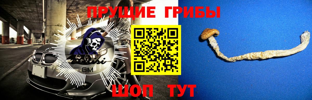 Псилоцибиновые грибы Psilocybine cubensis  Вход с VPN  Магадан  Галлюциногенные грибы мицелий 